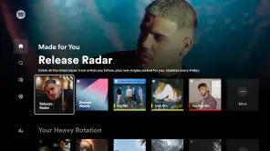 Android TV用Spotifyミュージック screenshot