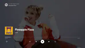 Android TV用Spotifyミュージック screenshot