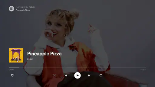 Android TV用Spotifyミュージック 5