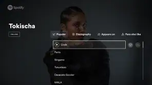 Android TV用Spotifyミュージック screenshot