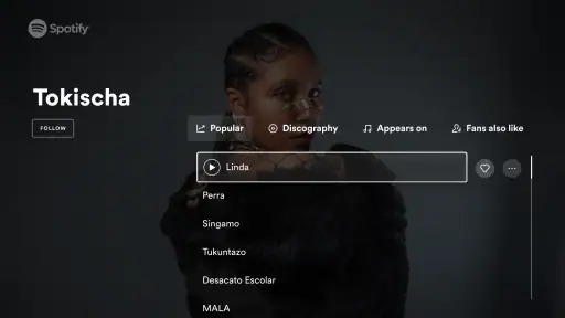 Android TV用Spotifyミュージック 6