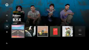 Android TV用Spotifyミュージック screenshot