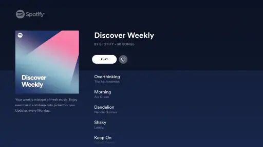 Android TV用Spotifyミュージック 8