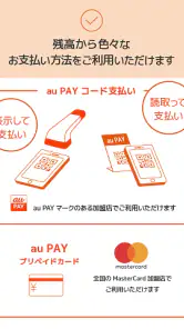 au PAY Pontaポイントがおトクにたまる！ screenshot