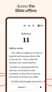 Holy Bible Offline NIV KJV App screenshot