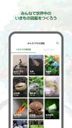 Biome（バイオーム‪）いきものAI図鑑 6