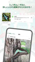 Biome（バイオーム‪）いきものAI図鑑 8