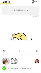 Catlog 1