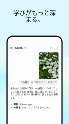 ChatGPT 4