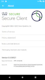 Cisco Secure Client-AnyConnect 4