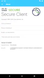 Cisco Secure Client-AnyConnect 8