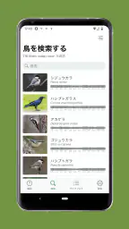 Cornell LabによるMerlin Bird ID 4