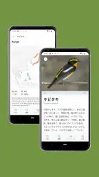 Cornell LabによるMerlin Bird ID 5