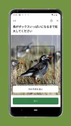 Cornell LabによるMerlin Bird ID 6