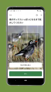 Cornell LabによるMerlin Bird ID screenshot