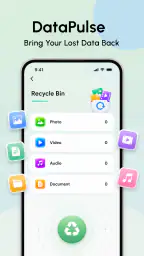 DataPulse-Recovery Assistant 3