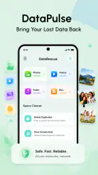 DataPulse-Recovery Assistant 6