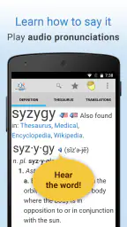 Dictionary Pro 4