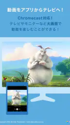 DMM動画プレイヤー 6