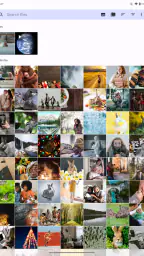 Fossify Gallery 8