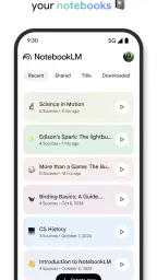 Google NotebookLM 2