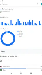 Google アナリティクス 5