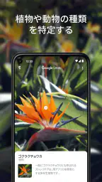 Google レンズ 5