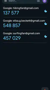 Google 認証システム screenshot