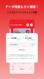 GTN Mobile 3