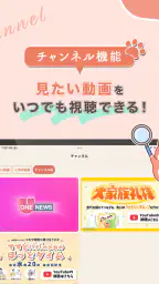 HanaLink 6