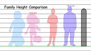 Height Measurement App screenshot