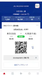 JAL(国内線・国際線) 1