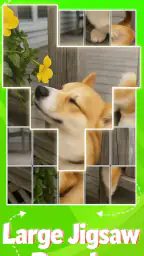 Jigblock Puzzles 3