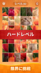 JigFlip: Solitaire Sort Puzzle 3