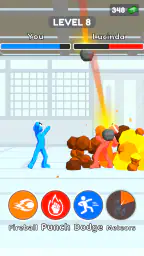 Kungfu Ragdoll 3