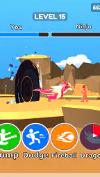 Kungfu Ragdoll 7
