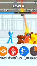 Kungfu Ragdoll 8