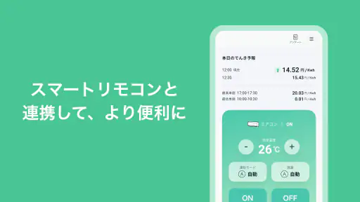 Looopでんき 5