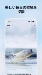 Microsoft Bing 検索 7