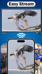 MirrorLink 2