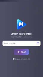 MNet Player 2