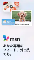 MSN 1