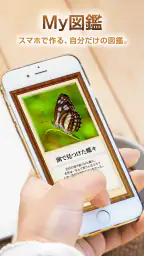 My図鑑 〜コレクション管理・整理アプリ〜 1