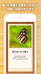 My図鑑 〜コレクション管理・整理アプリ〜 2