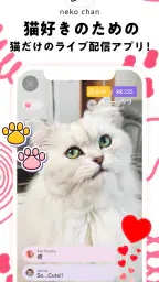 nekochan - 猫だけのライブ配信で癒されよう! 1
