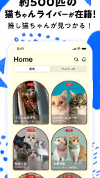 nekochan - 猫だけのライブ配信で癒されよう! 2
