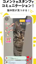 nekochan - 猫だけのライブ配信で癒されよう! 3