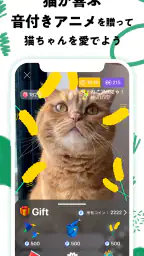 nekochan - 猫だけのライブ配信で癒されよう! 4