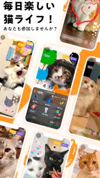 nekochan - 猫だけのライブ配信で癒されよう! 5