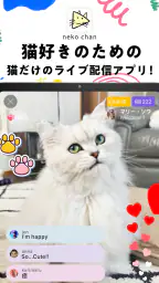 nekochan - 猫だけのライブ配信で癒されよう! 6